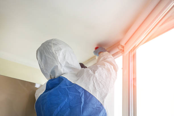 Best Forensic Mold Investigation  in Breezy Point, MN